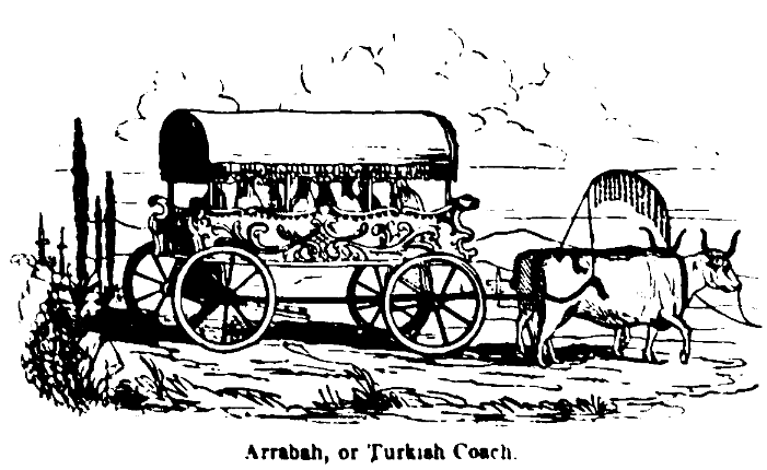 Araba veya Turk Kocu