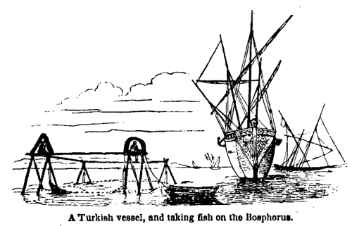 Bir Türk gemisi ve Boğaz'da balık avı