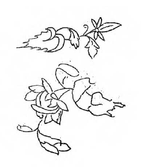 Mirasium-Fatihin-Cocukluk-Defter-004