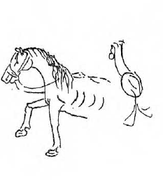 Mirasium-Fatihin-Cocukluk-Defter-005