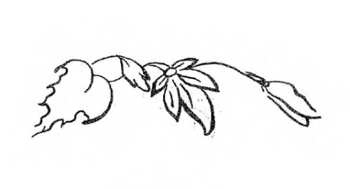 Mirasium-Fatihin-Cocukluk-Defter-011