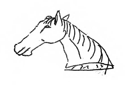 Mirasium-Fatihin-Cocukluk-Defter-012