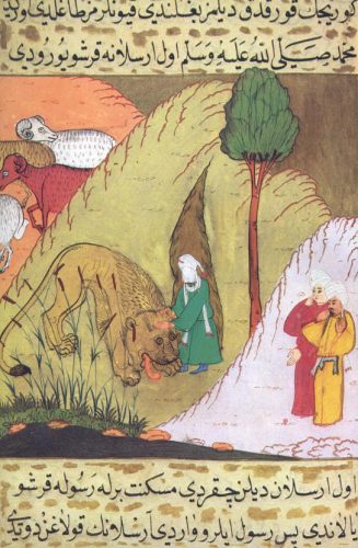 Pek çok mucizeden biri Vahşi hayvanlar Hz. Muhammed'e (s.a.v.) saldırmaz.