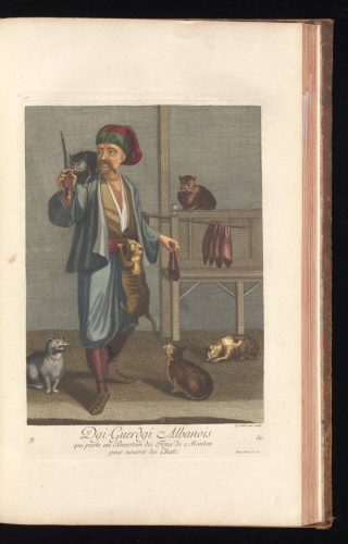 gri_33125015119957_0144_result