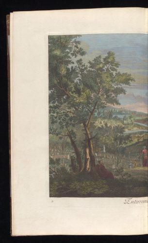 gri_33125015119957_0229_result