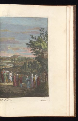 gri_33125015119957_0230_result